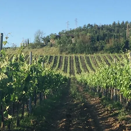 Il Poggio Di